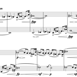 Wild Beasts for 2 flutes